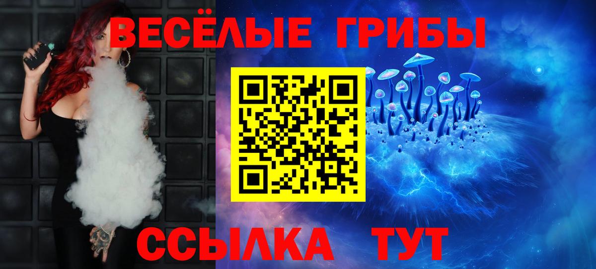 Всеволожск  Галлюциногенные грибы Psilocybe  Вход с VPN 